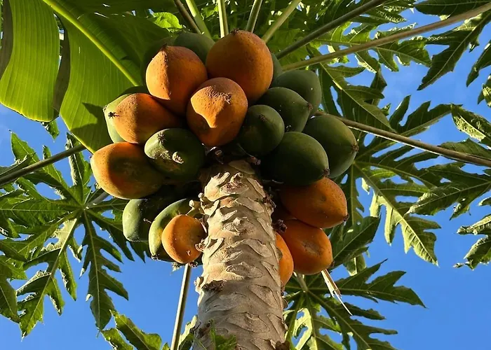 Sunny Luxury On Panoramic Pool Apartamento Arona (Tenerife)