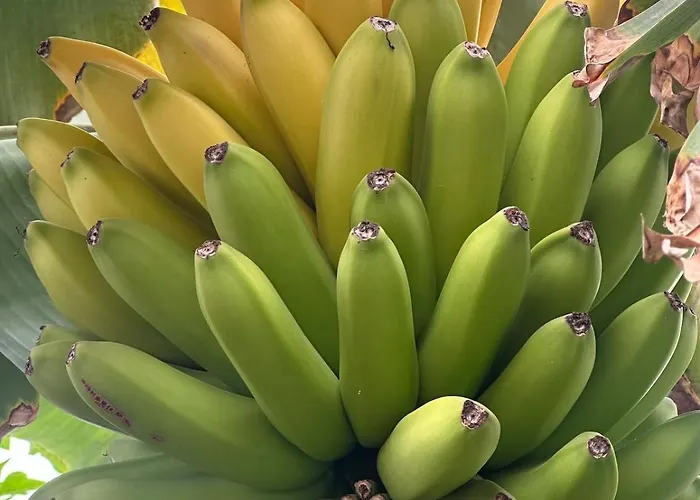 Apartman Sunny Luxury On Panoramic Pool